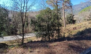 PARCELA PARA TORRE CUATRO VIENTOS