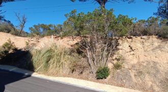 PARCEL·LA  CANTONERA AMB BONES VISTES