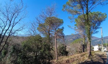 PARCELA PARA TORRE CUATRO VIENTOS