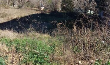 PARCELA MUY SOLEADA PARA TORRE APAREADA