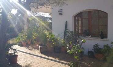 TORRE A QUATRE VENTS EN UNA SOLA PLANTA