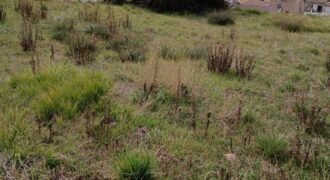 TURO DE LA MARE DE DEU