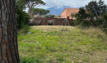 TERRENO MUY AMPLIO Y BIEN SITUADO