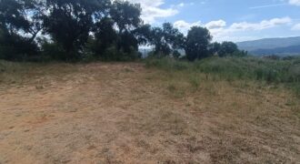 Parcela amplia i pràcticament plana a Gualba   Royal Park